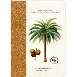 Zeszyty A6 Collection AUGUSTINA (12 szt.)