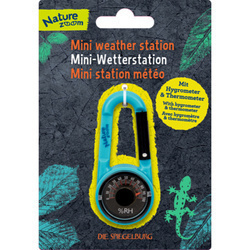 Miniaturowa stacja pogodowa