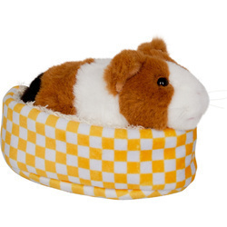 Świnka morska Lola w koszyku