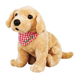 Szczeniak labradora Luzie