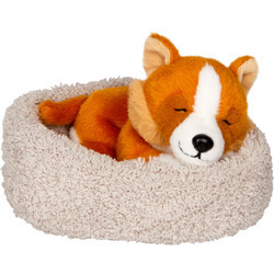 Śpiący pies Liz w koszyku