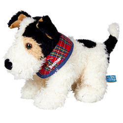 Fox terrier Boomer
