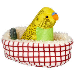 Papuga falista Paula w koszyku