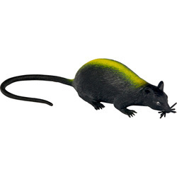 Szczur kanalizacyjny