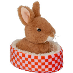 Królik Rosi w koszyku