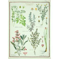 Ręcznik kuchenny zioła