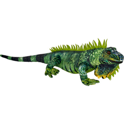 Zielona iguana