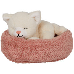 Śpiący kot Penny w koszyku