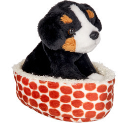 Pluszak berneńczyk Bruno w koszyczku