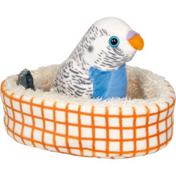 Papuga falista Hansi w koszyku