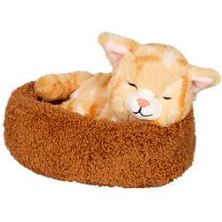 Śpiący kot Chloe w koszyku