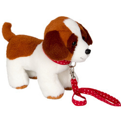 Szczeniak Luna ze smyczą