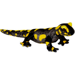 Salamandra ognista