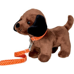 Szczeniak Bonito ze smyczą