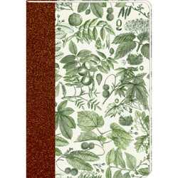 Zeszyty A5 AUGUSTINA (12 szt.)