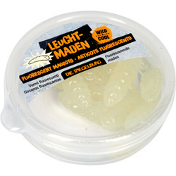 Fluorescencyjne, lepkie robaki