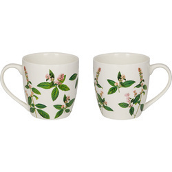 Porcelanowy kubek zioła